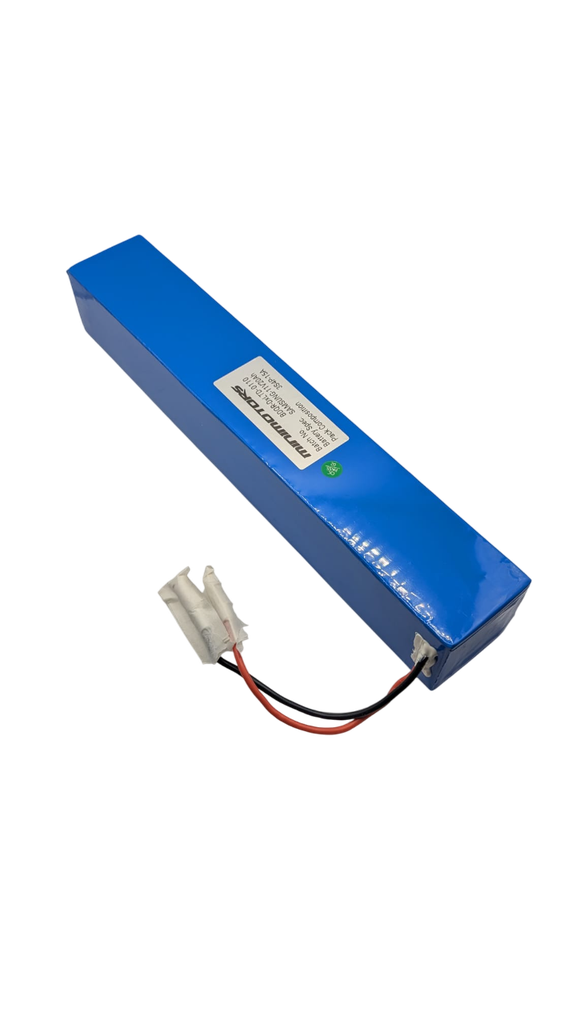 12V LED Battery Dualtron X2