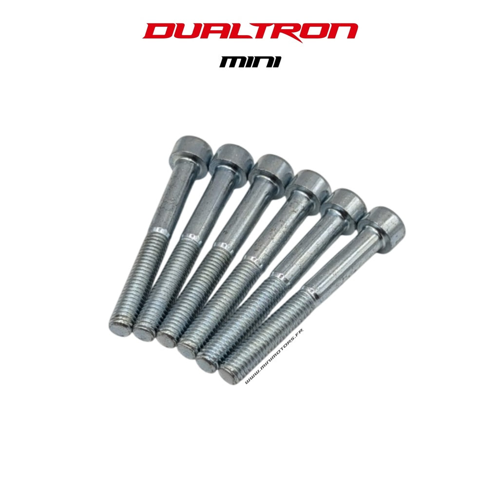 Steering Column Screw M6x48 (x6) Dualtron Mini