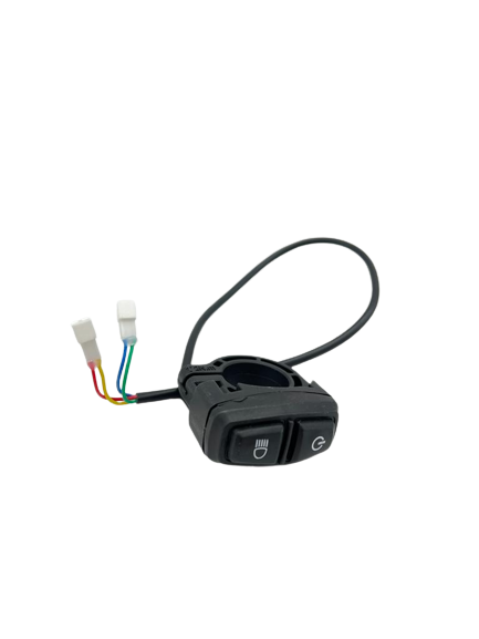 Multifunction Switch (Ignition, Headlight) Dualtron Pop Mono Moteur