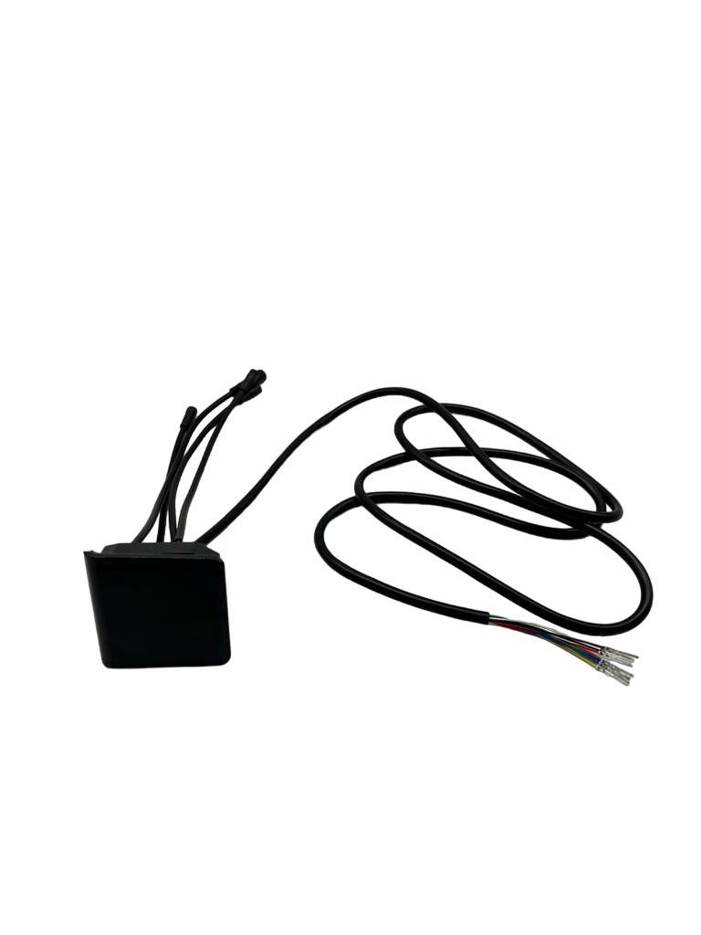 Display Dualtron Togo EY2