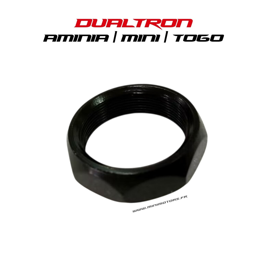 Lower Steering Column Nut Dualtron Mini, Dualtron Togo, Dualtron LTD, Dualtron Aminia