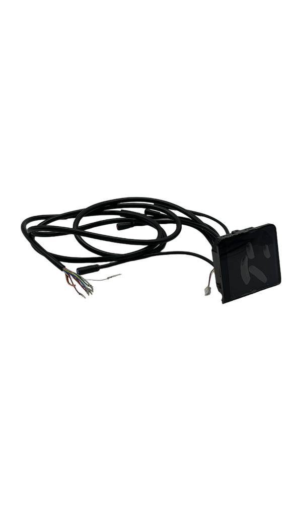 Display EY2 Dualtron Togo LTD