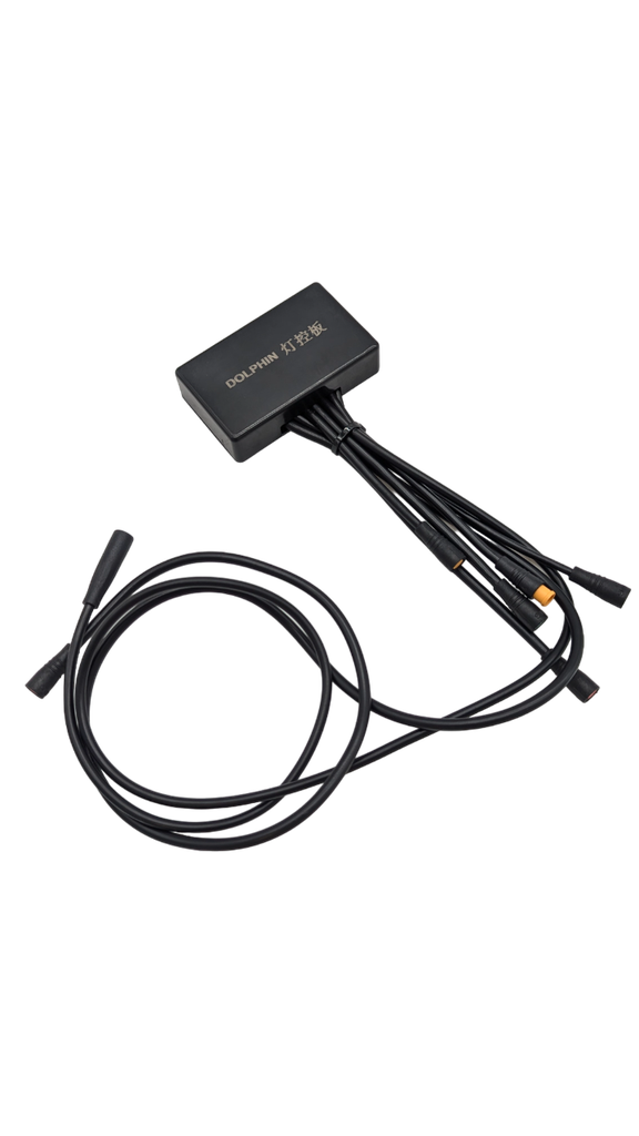 LED Controller Dualtron Dolphin