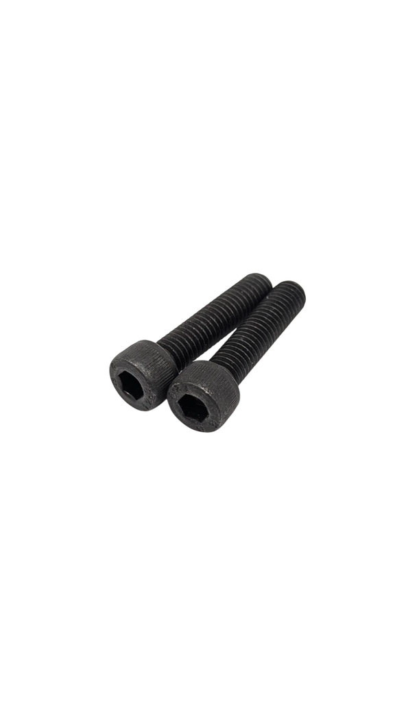 Front Fork Screws Pair Dualtron Mini, Mini Double Motor, Togo LTD