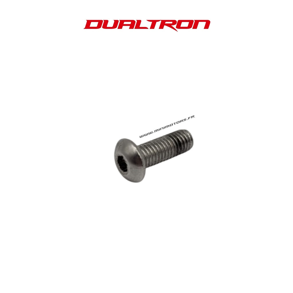 Display Screw Dualtron EY4