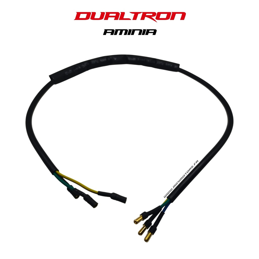 Controller and Motor Cable Dualtron Aminia