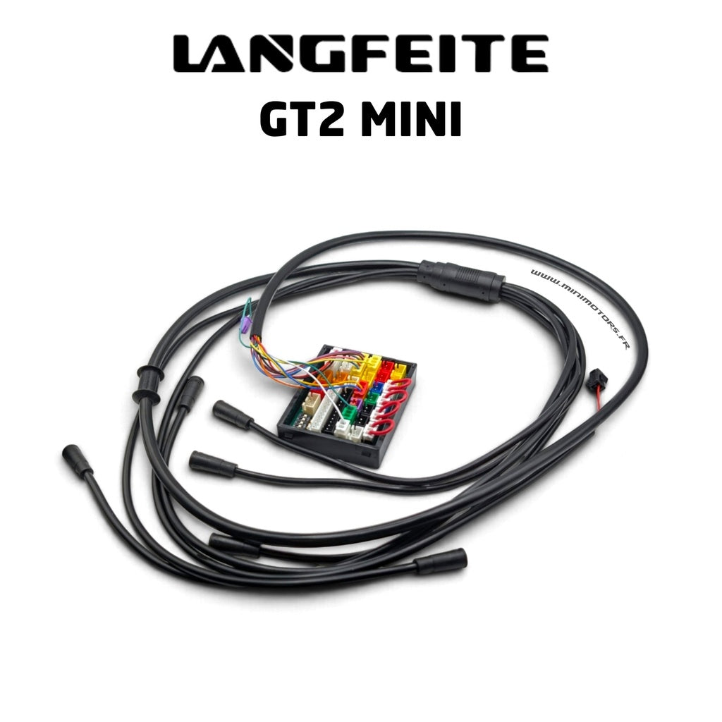 Cavo principale Langfeite GT2 Mini