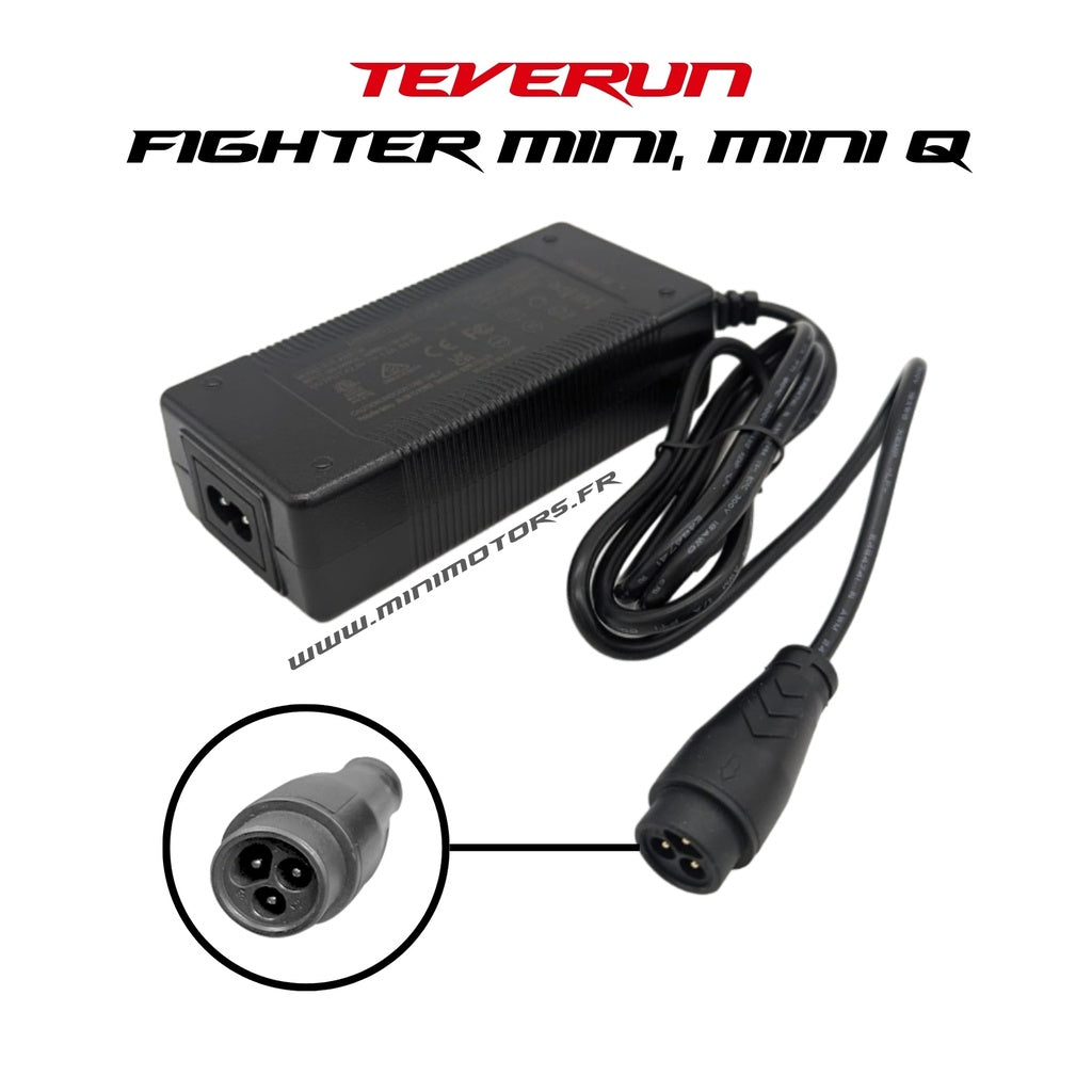 Charger Teverun Fighter Mini, Fighter Q, Space 58.8V 2A