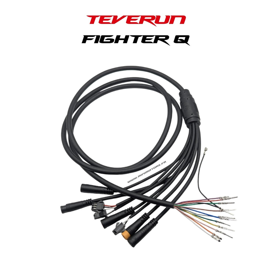 Main Cable Teverun Fighter Mini Q