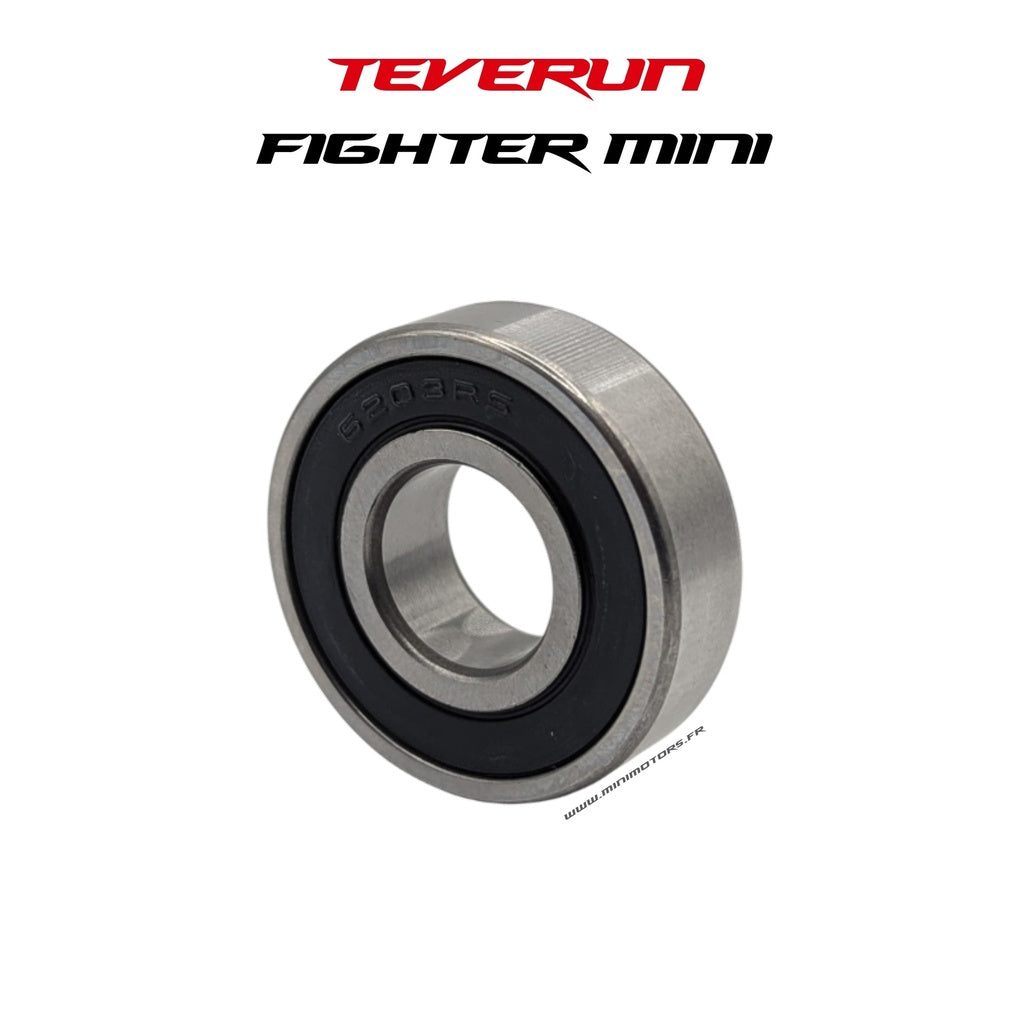 Motor Bearing 6203RS Teverun Fighter Mini