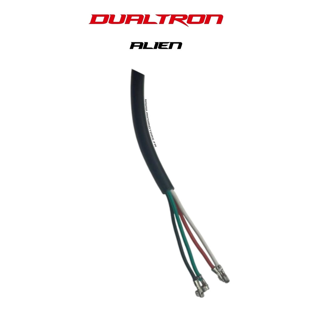 Rear Light Dualtron Alien