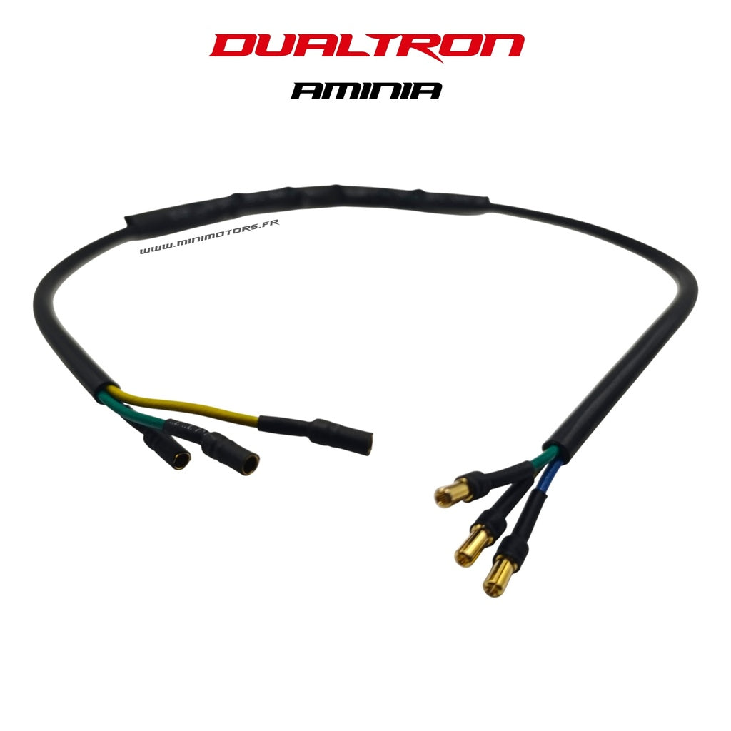 Controller and Motor Cable Dualtron Aminia