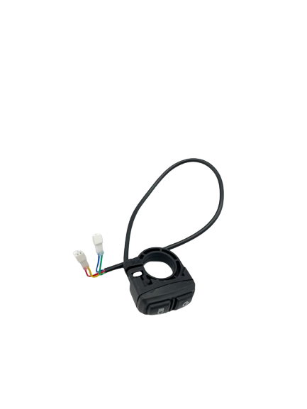 Multifunction Switch (Ignition, Headlight) Dualtron Pop Mono Moteur