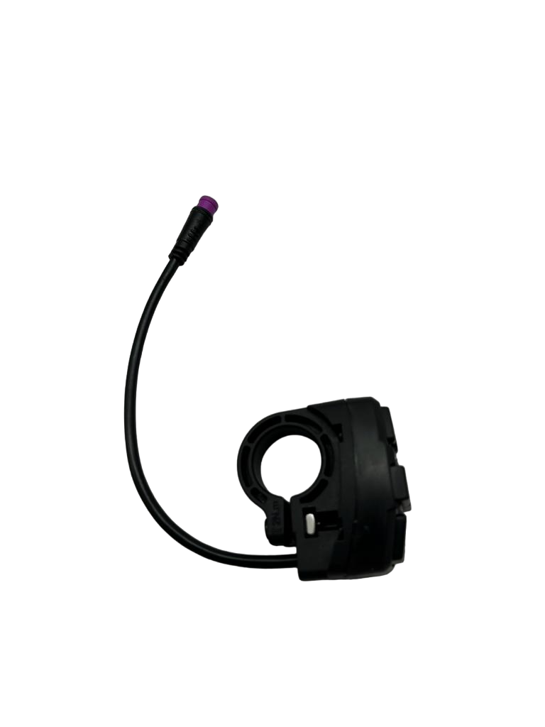 Power, Turn Signals, Headlight Switch Dualtron Togo