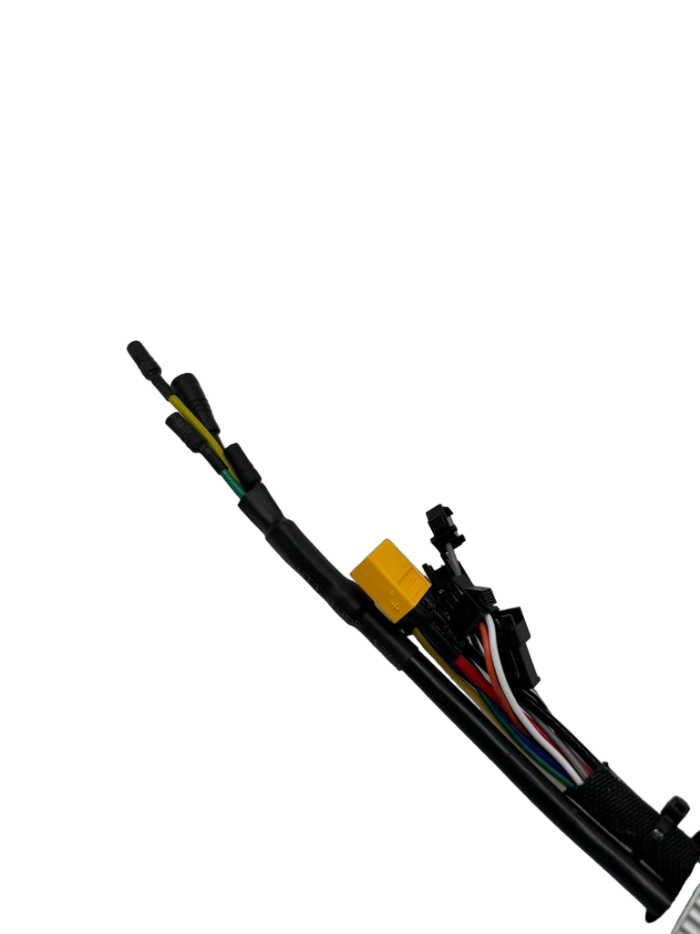 36V 25A Controller Dualtron Togo