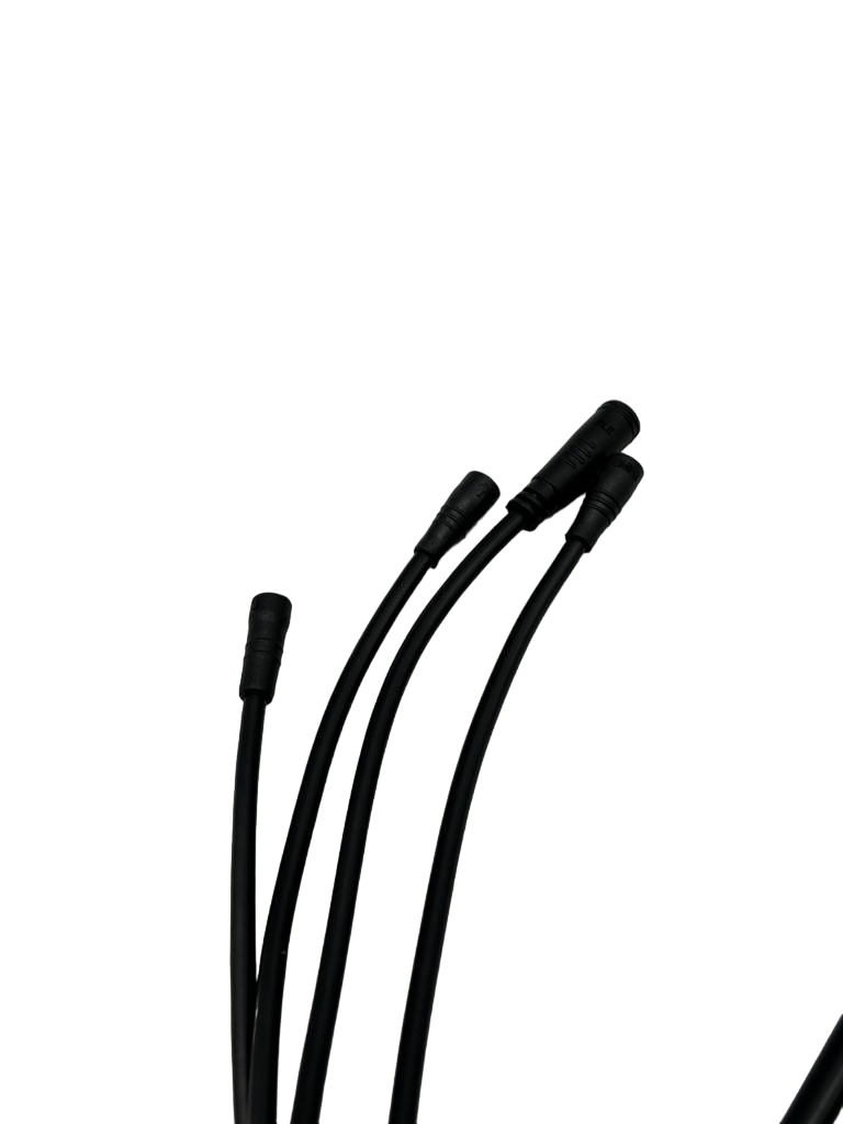 Display Dualtron Togo EY2