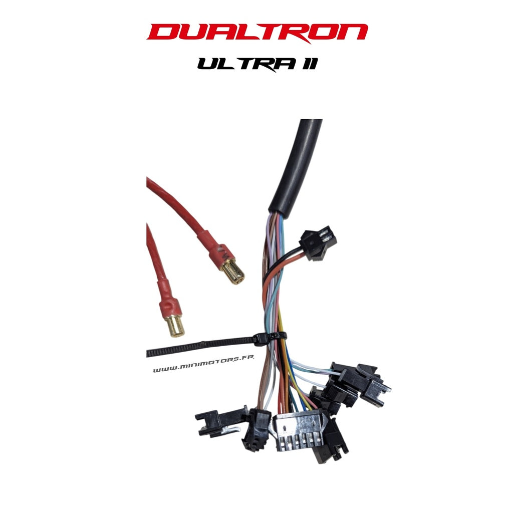 72V40A Controller Dualtron Ultra 2