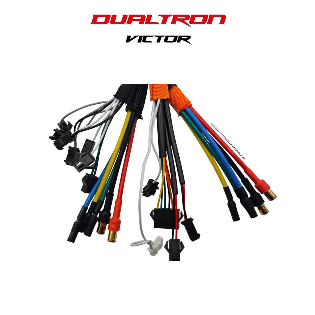 Controller 60V LDVH Dualtron Victor, Dualtron Luxury, Dualtron Luxury Plus V1/V2, Dualtron LTD
