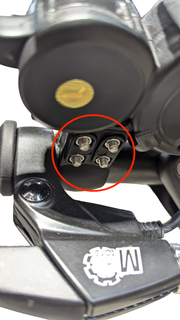 Accelerator Mount Screws Minimotors (x4)
