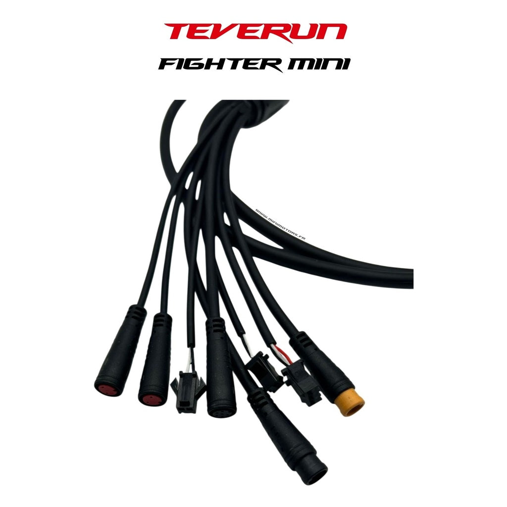 Main Cable Teverun Blade Mini Ultra
