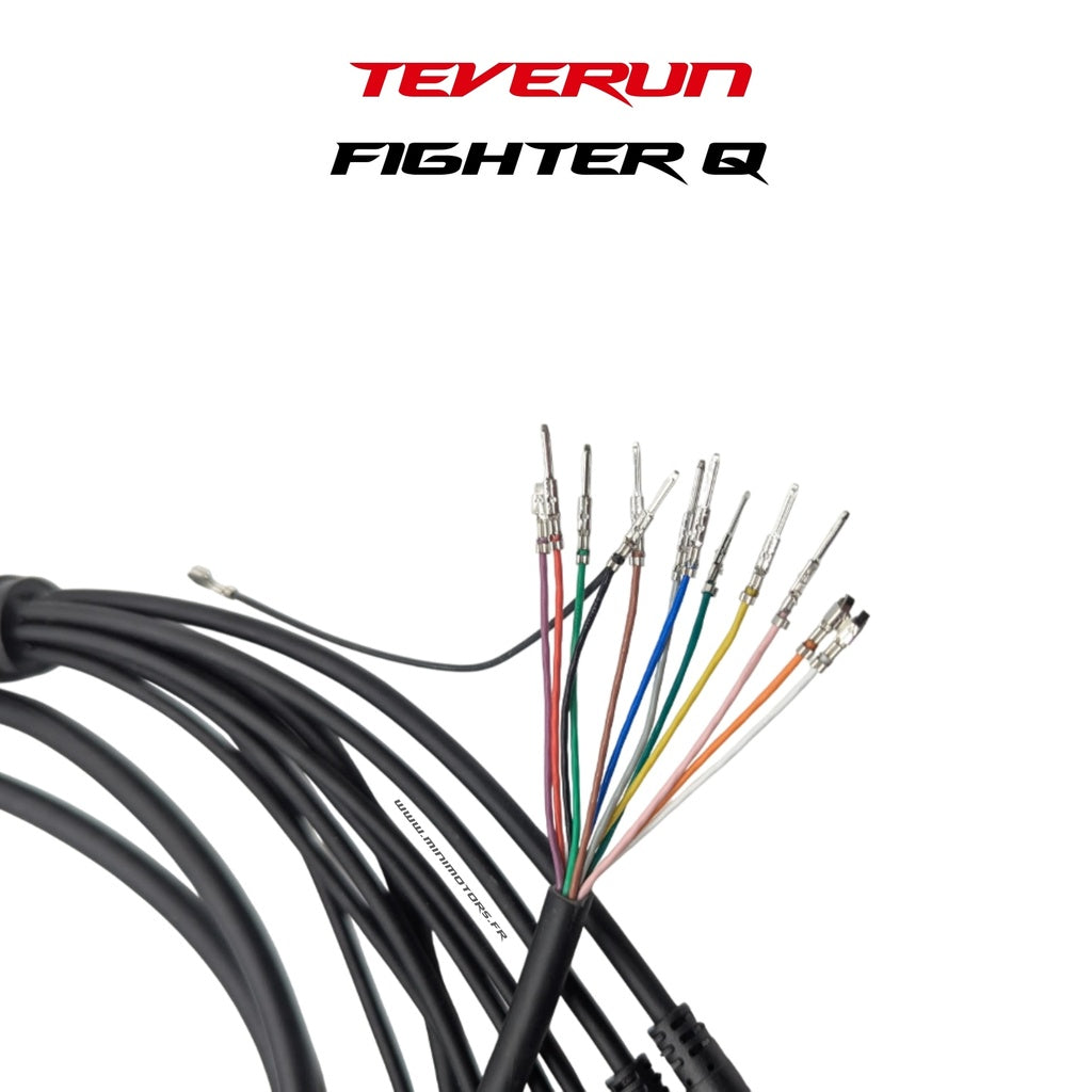 Main Cable Teverun Fighter Mini Q