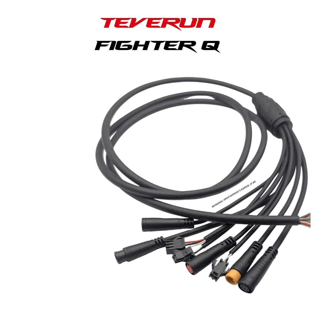 Main Cable Teverun Fighter Mini Q
