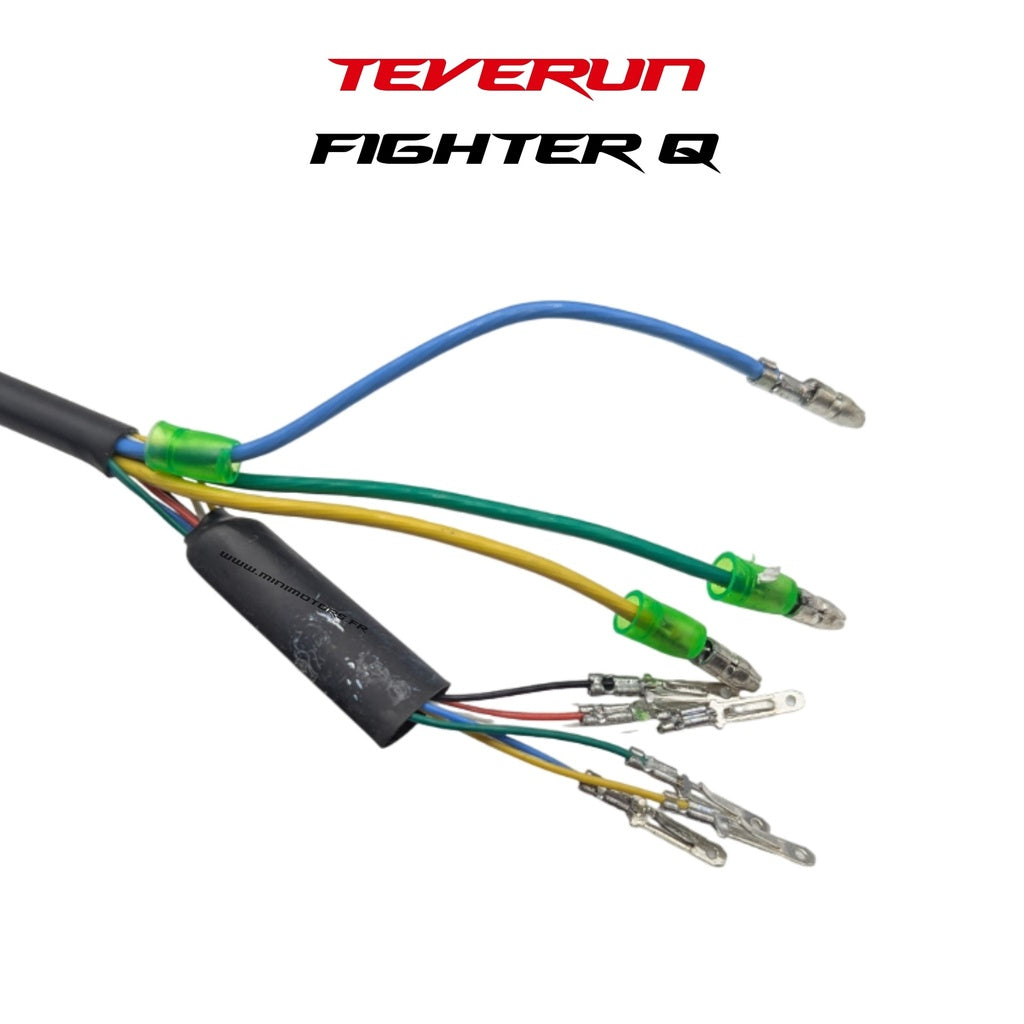 Rear Motor Teverun Fighter Mini Q