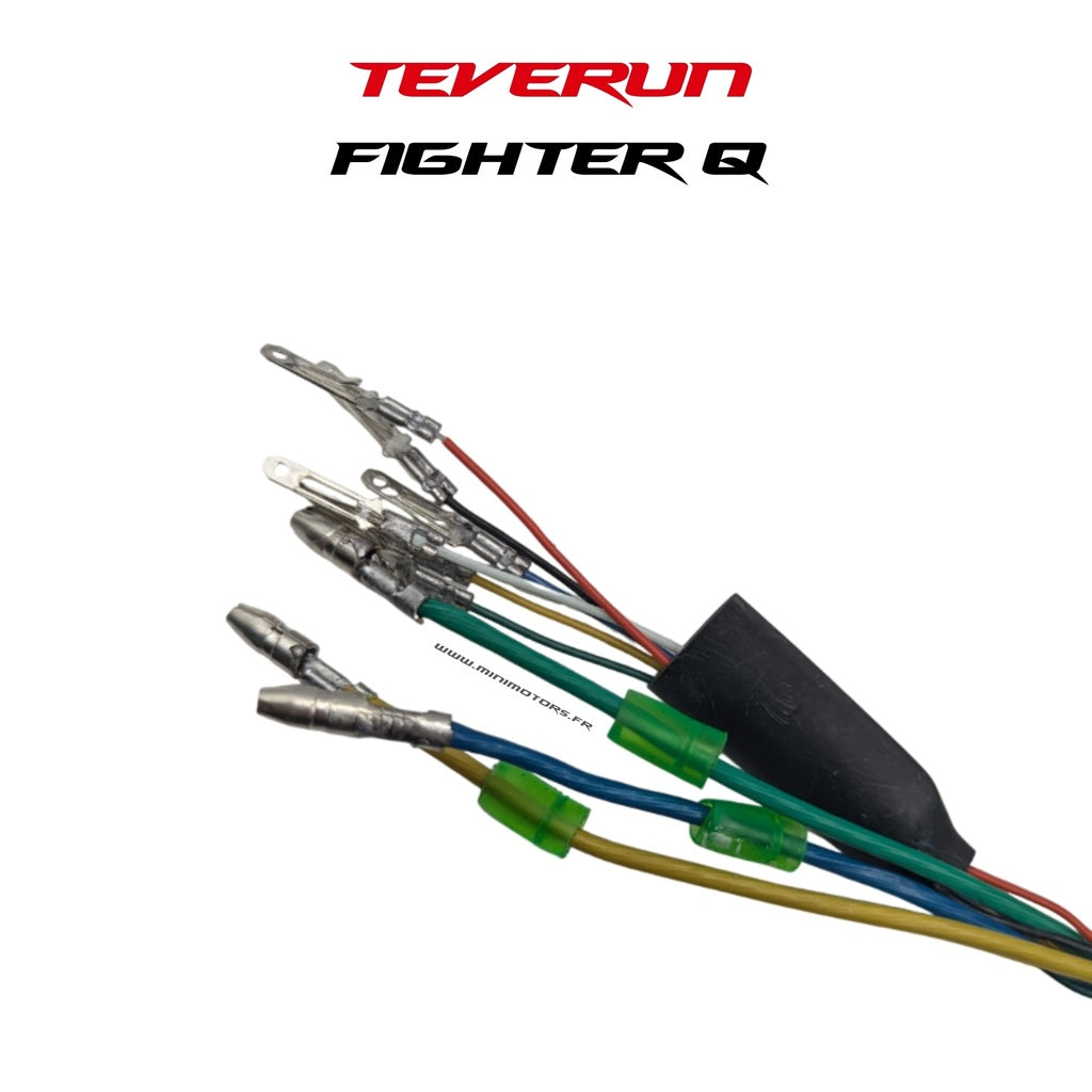 Front Motor Teverun Fighter Mini Q