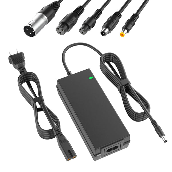 Electric Scooter Chargers