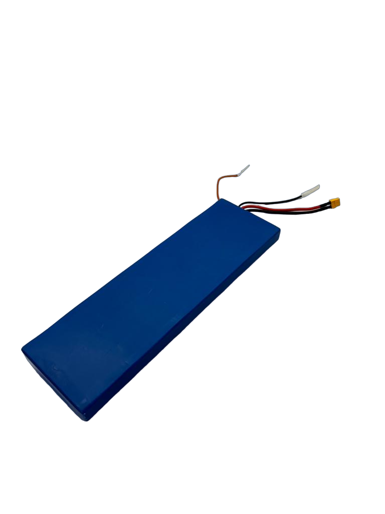 48V12Ah Battery Dualtron Togo Plus