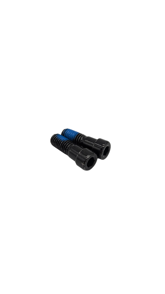 Suspension Fork Screw M8x22 V2 Dualtron Pop (x2)