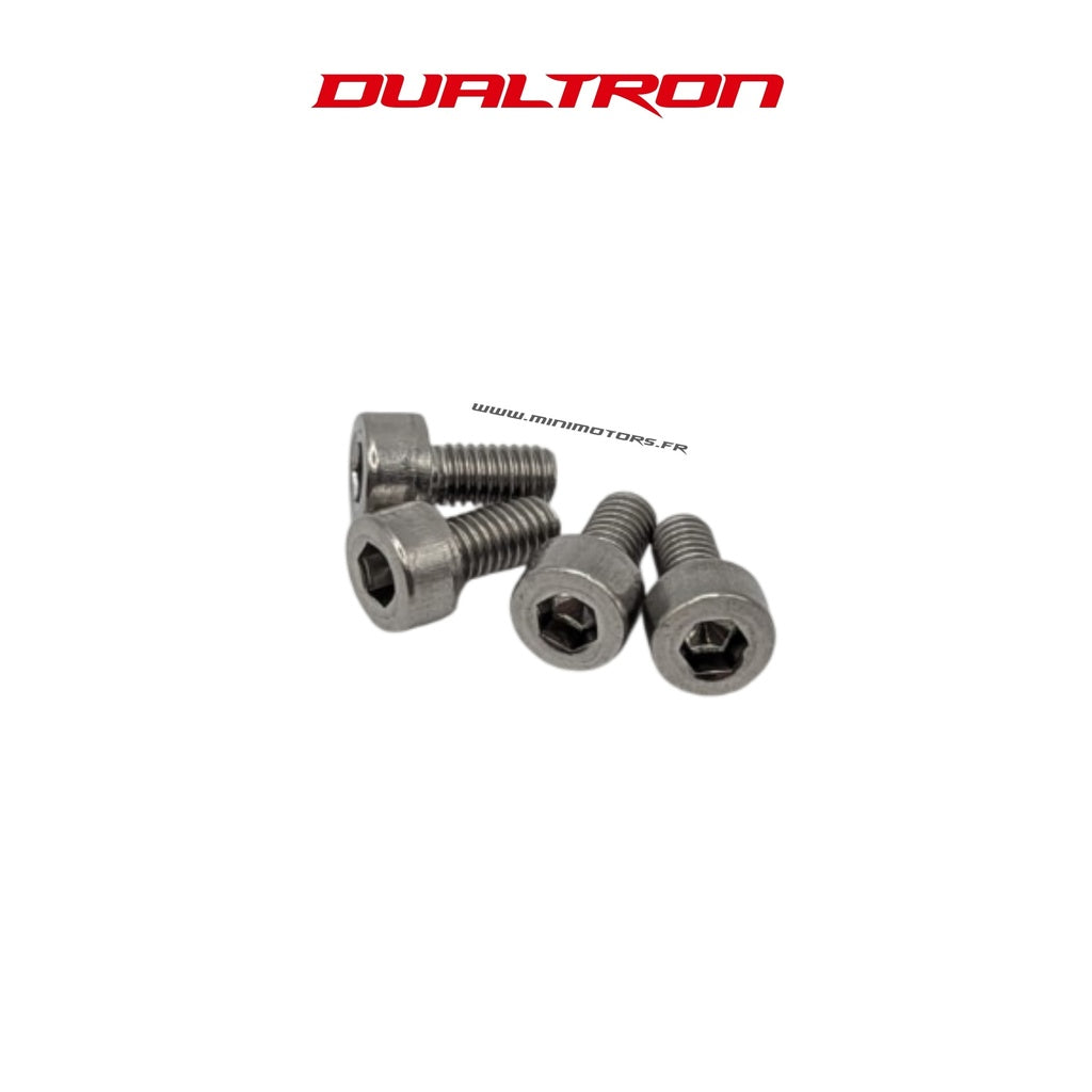 Controller Mounting Screw Dualtron 60V (4 pcs)