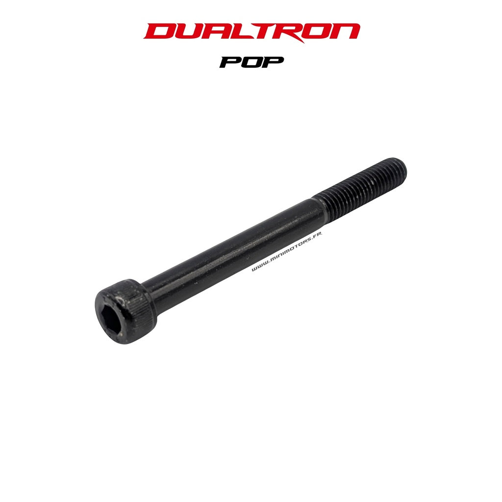 Rear Fork Axle Dualtron Pop
