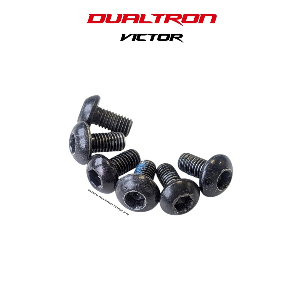 Brake Disc Screws (x6) Dualtron Victor