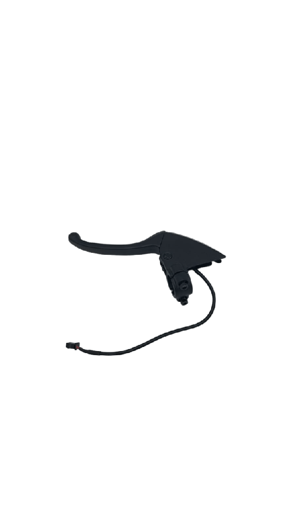 Left Electric Brake Inmotion L9, S1F