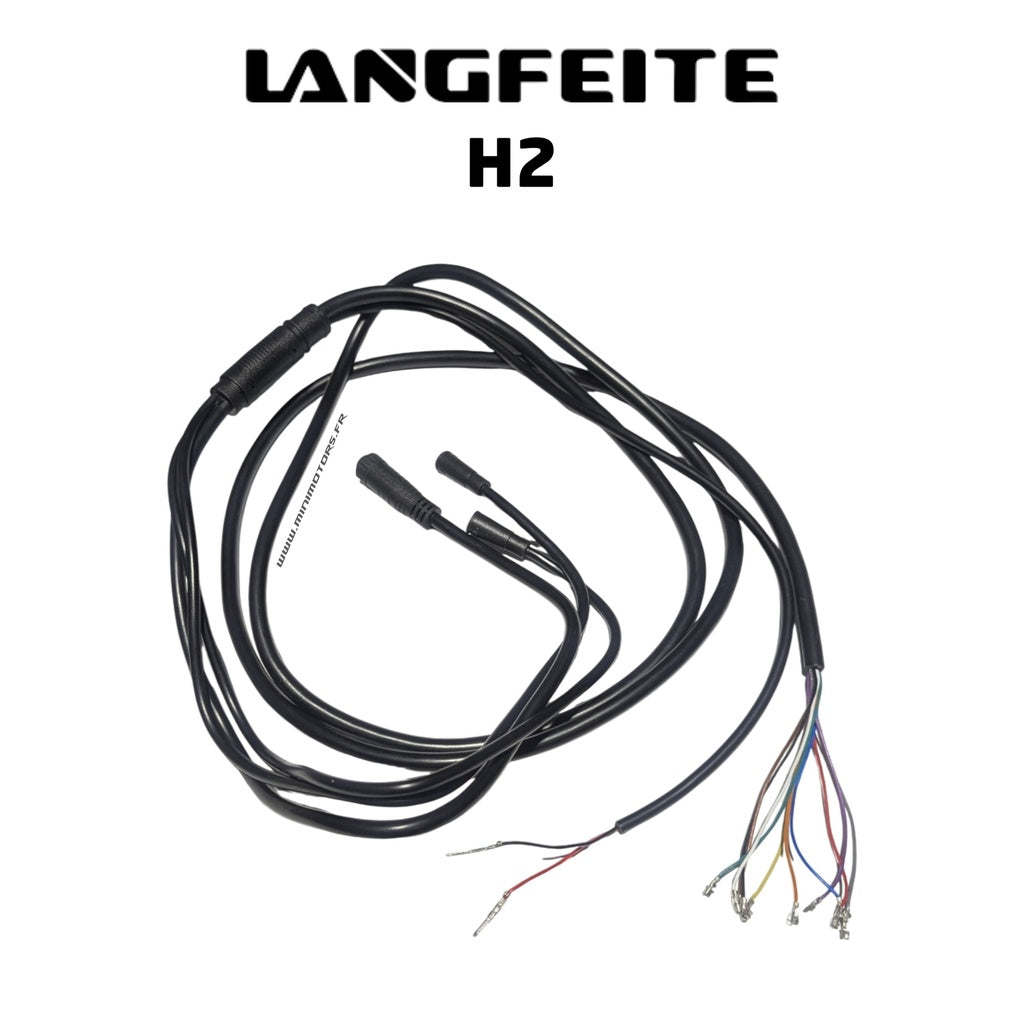 Main Cable Langfeite H2 Dual