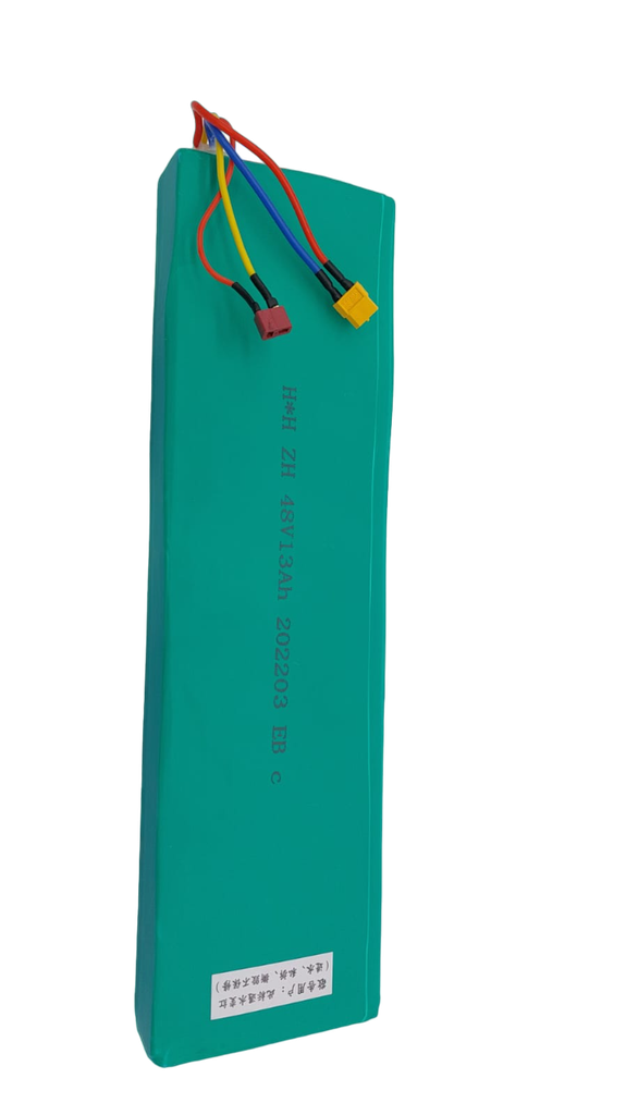 Battery SPW Mini 4 Pro 48V 13Ah