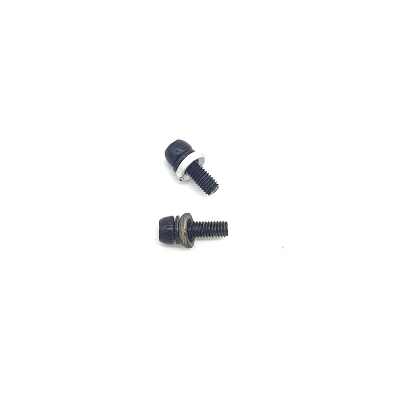 Caliper Mount Screw and Washer SPW 4, SPW 5 (x2)