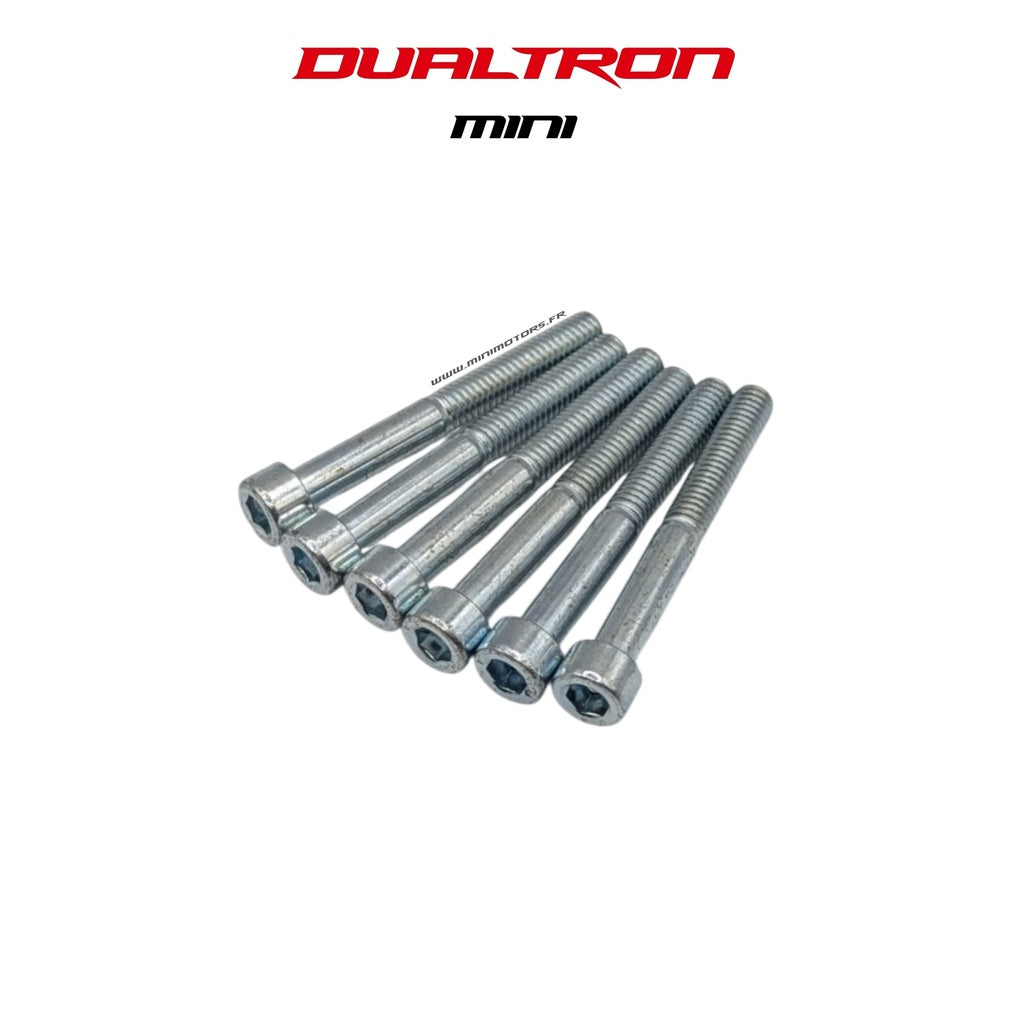Steering Column Screw M6x48 (x6) Dualtron Mini