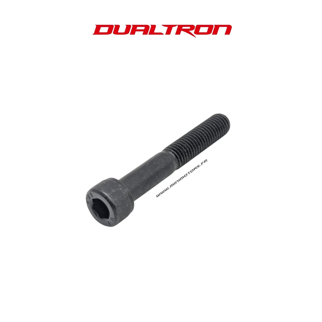 Folding Screw V1 Dualtron (except Storm, Ultra 2, Victor, Thunder 2)