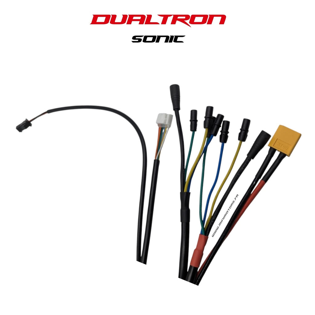 Controller Dualtron Sonic