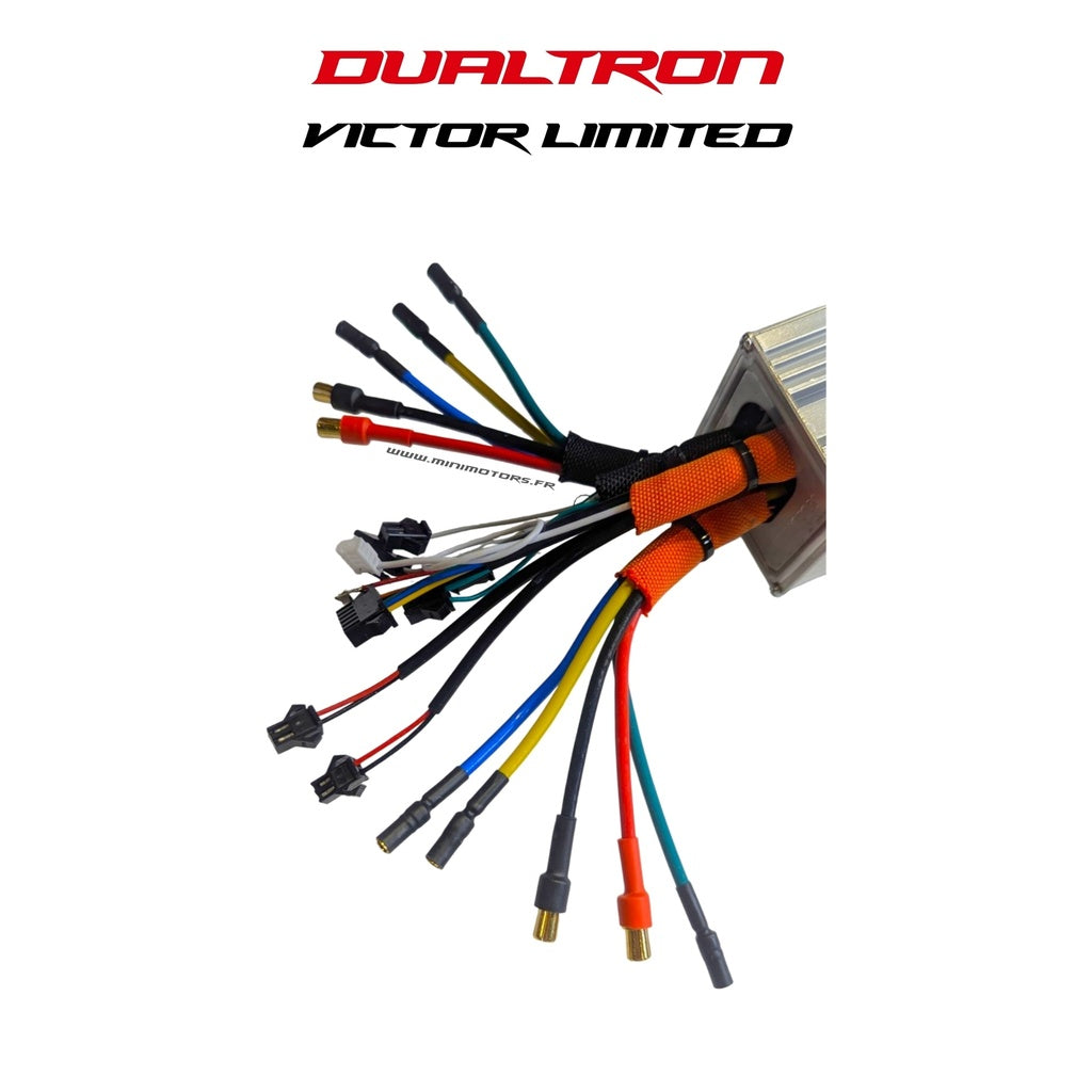 Controller 60V LDVL Dualtron Victor LTD
