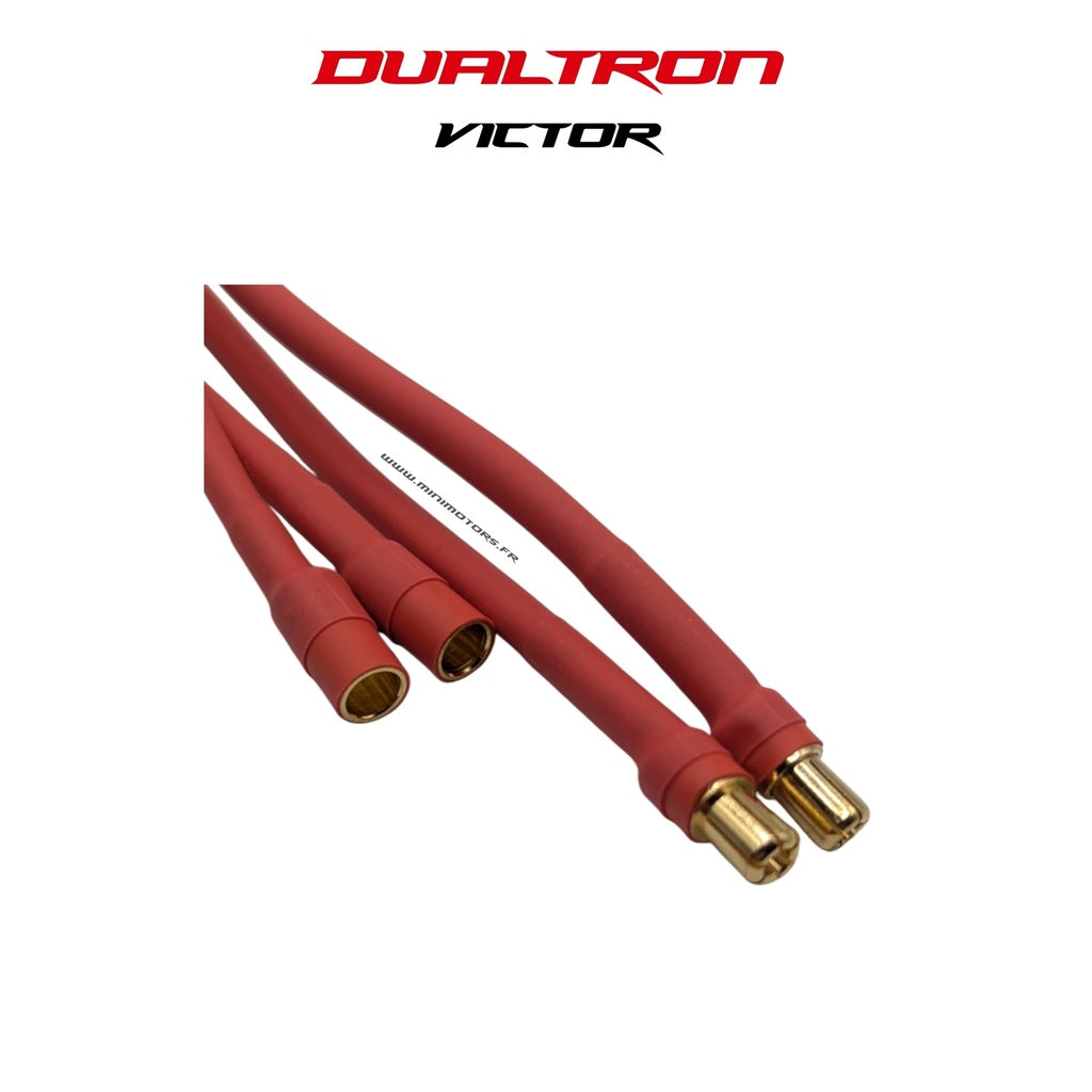 Power Button Dualtron Victor