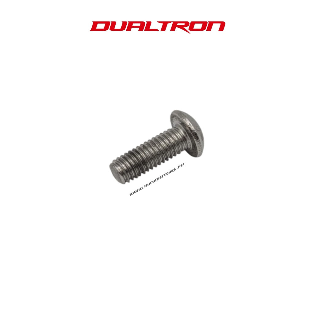 Display Screw Dualtron EY4