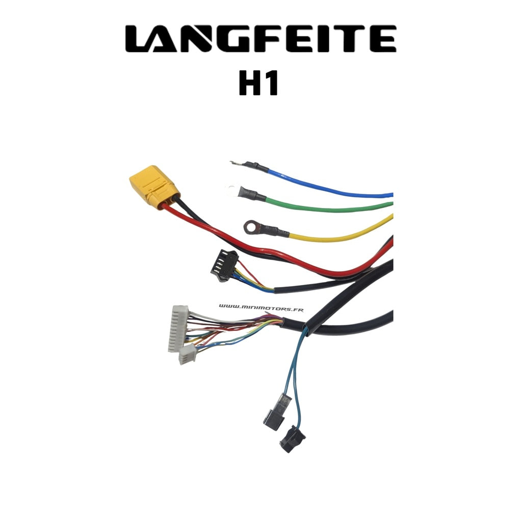 Rear Controller Langfeite H1 Dual B