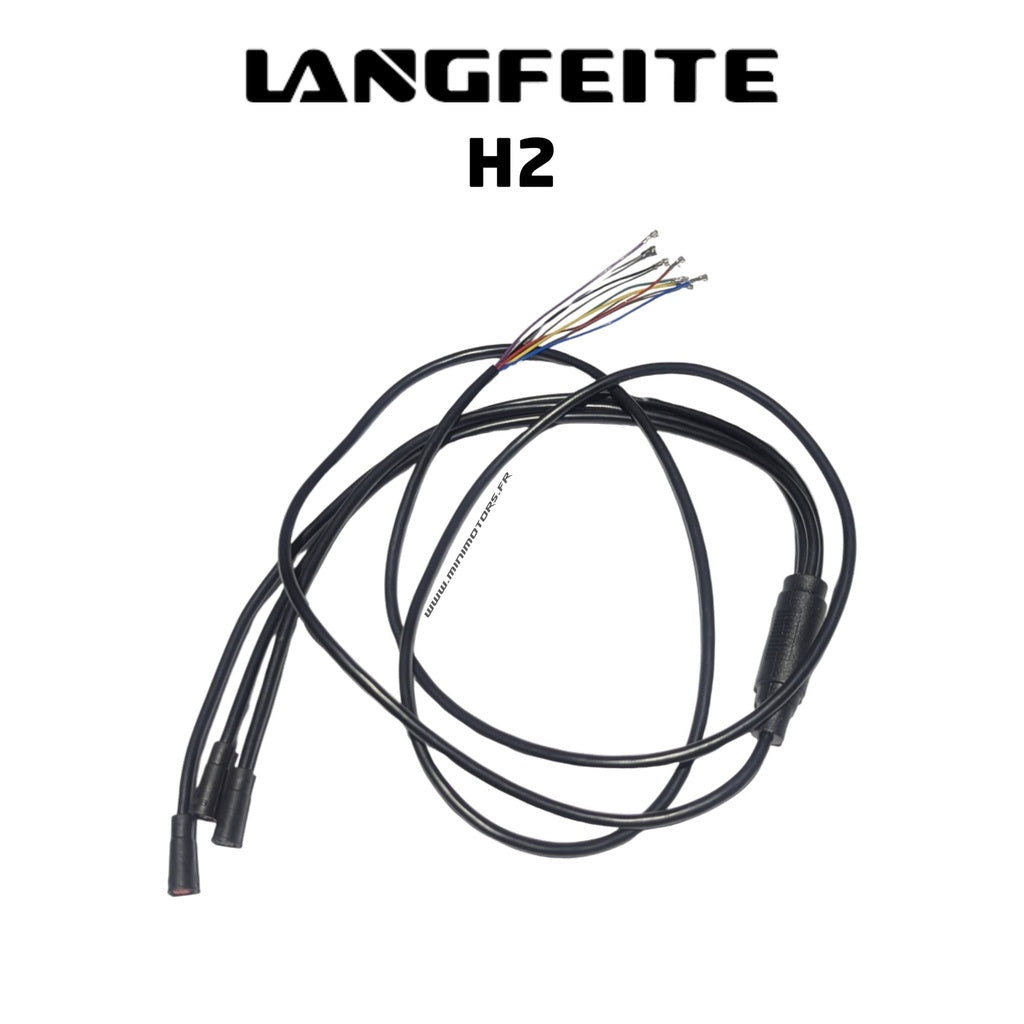 Main Cable Langfeite H2 Dual