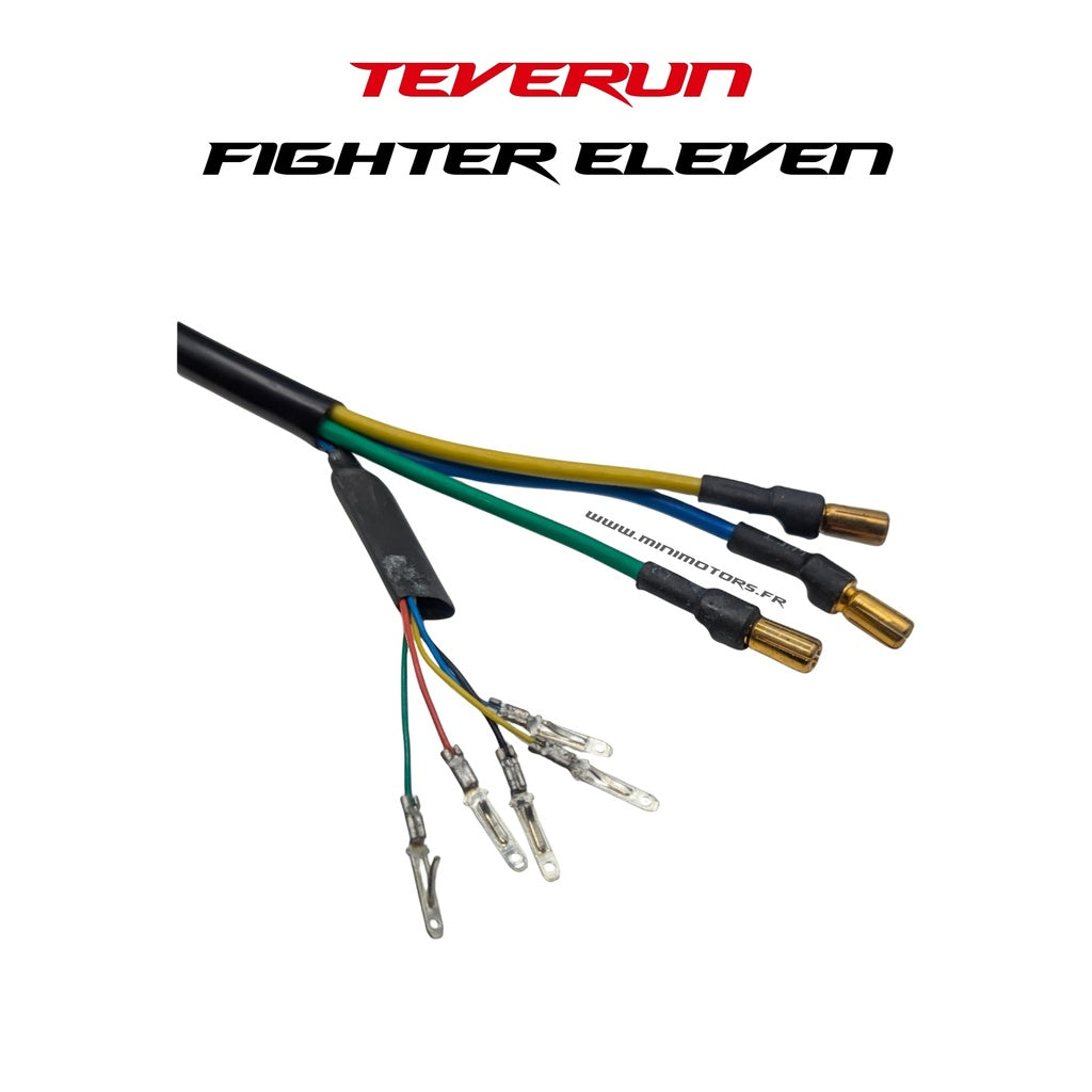 Front Motor Teverun Fighter 11, Fighter 11 + V1