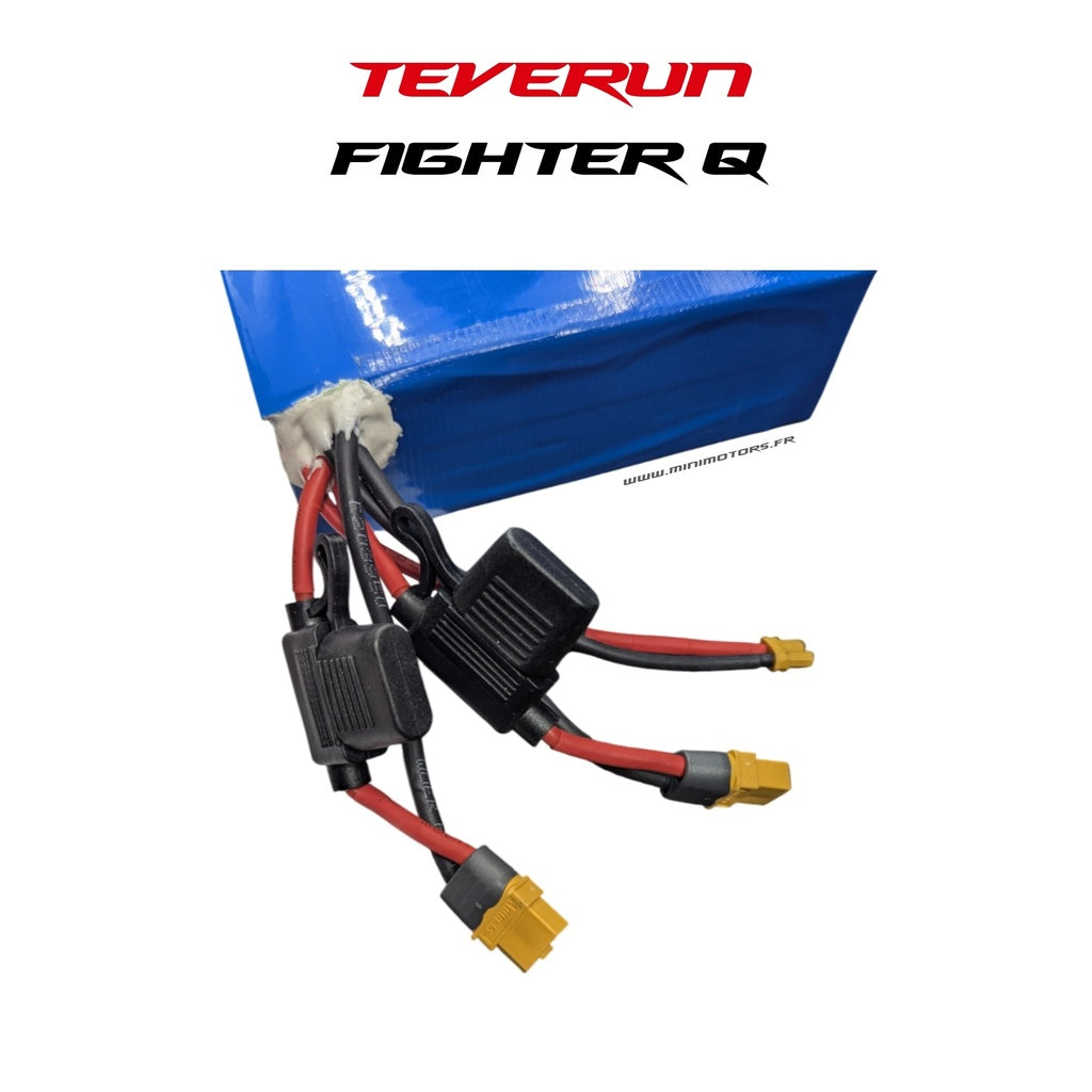 Battery Teverun Fighter Mini Q 52V 13Ah